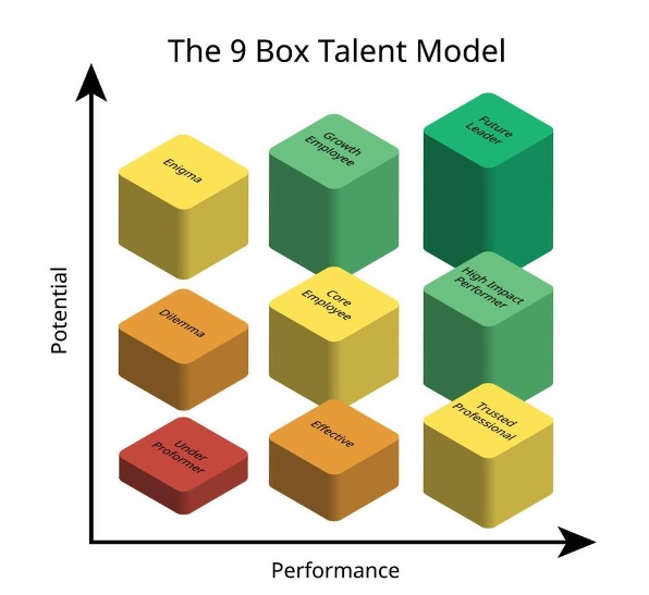 9 Box Performance Matrix